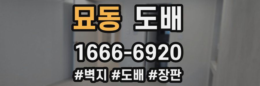 묘동 도배