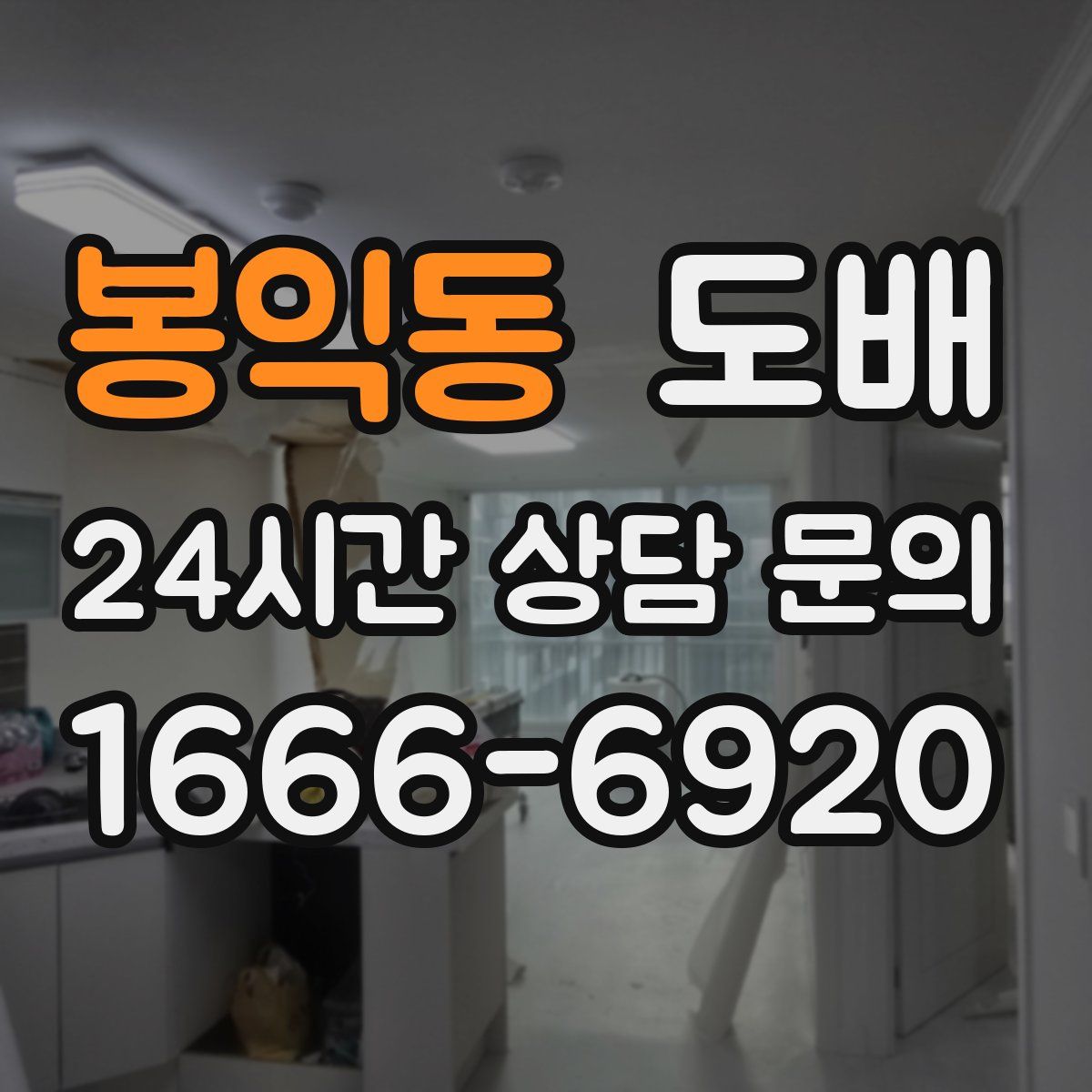 봉익동 도배