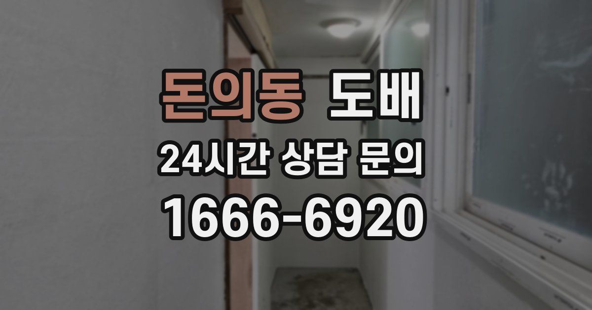 돈의동 도배