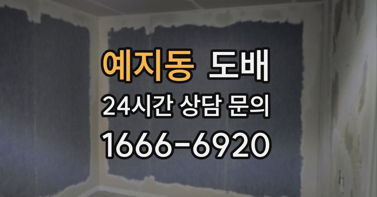 예지동 도배