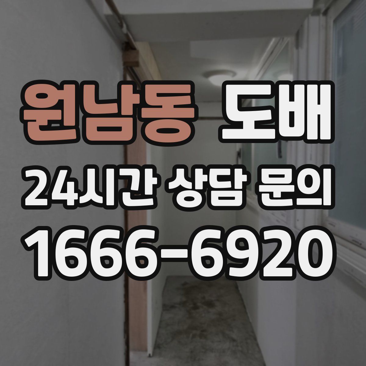 원남동 도배