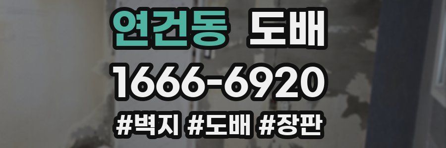 연건동 도배