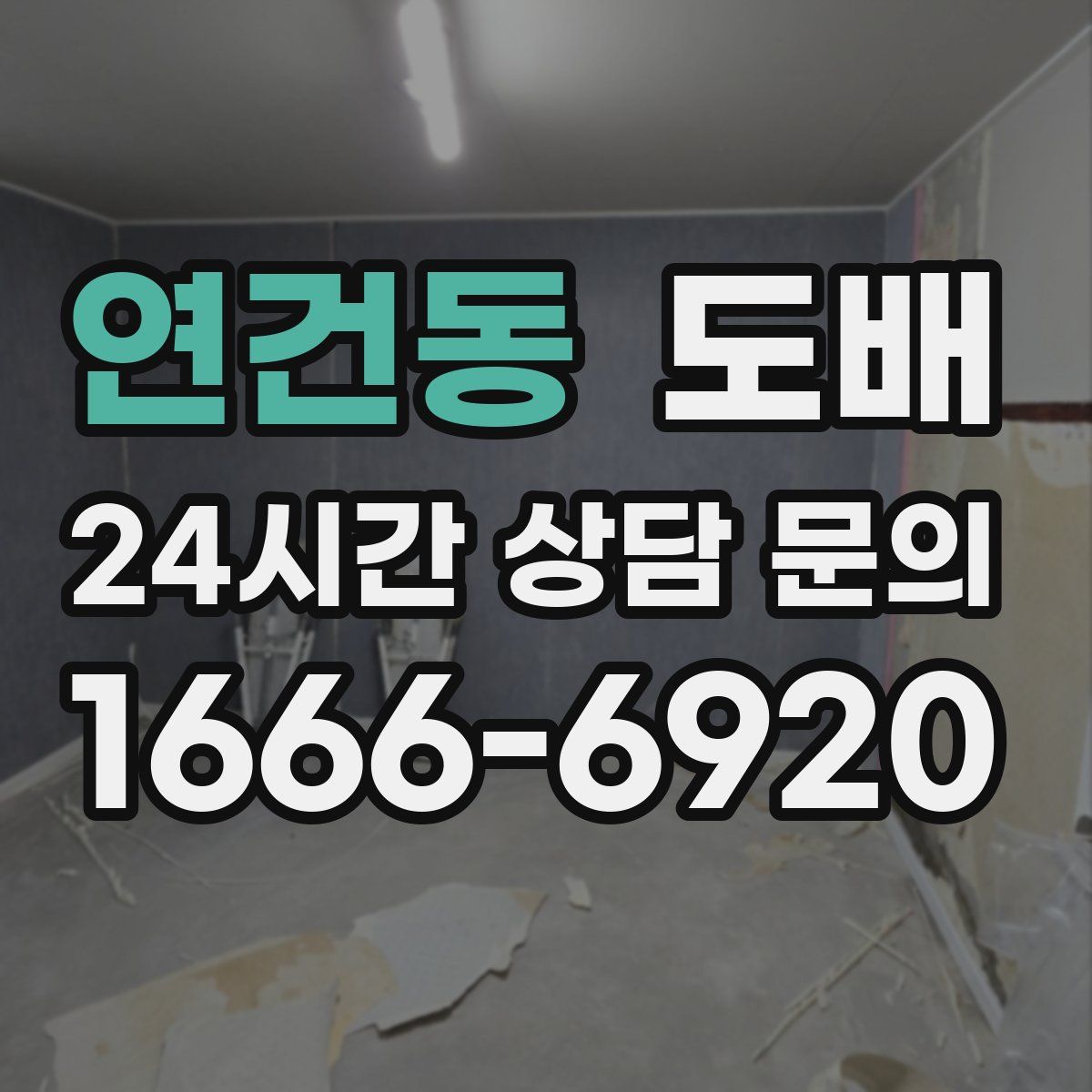 연건동 도배