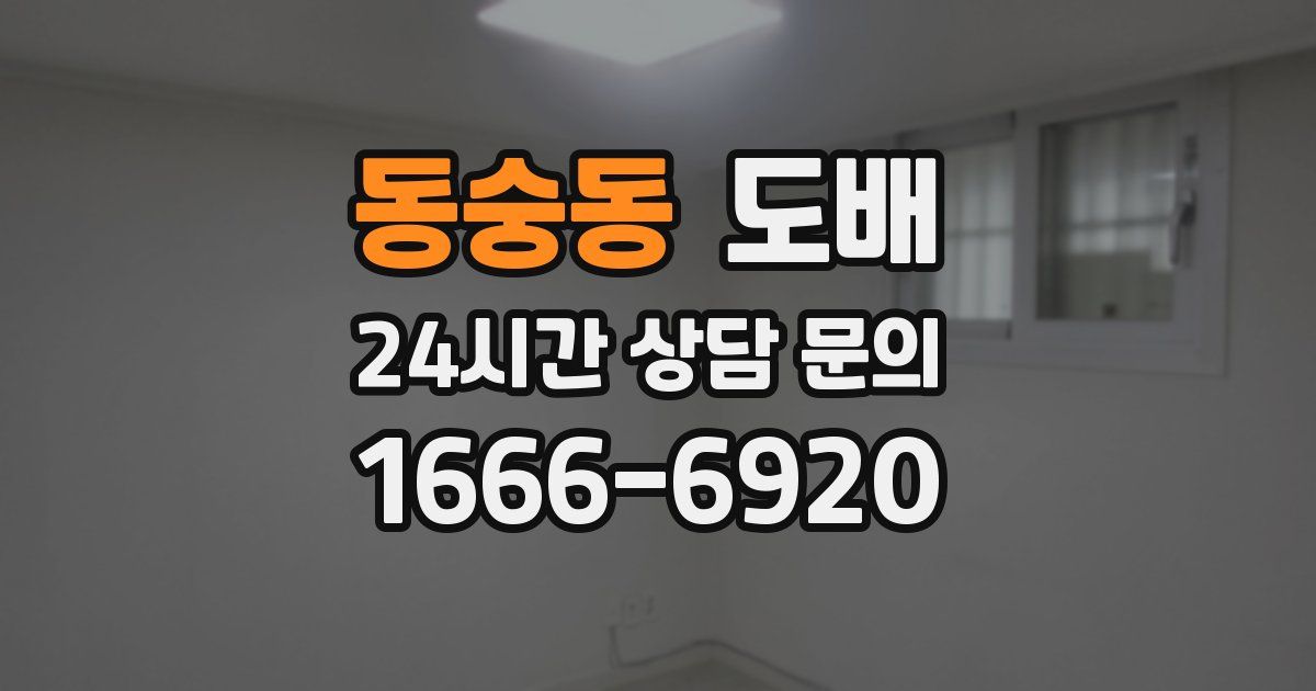 동숭동 도배