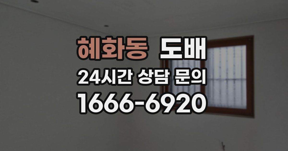혜화동 도배