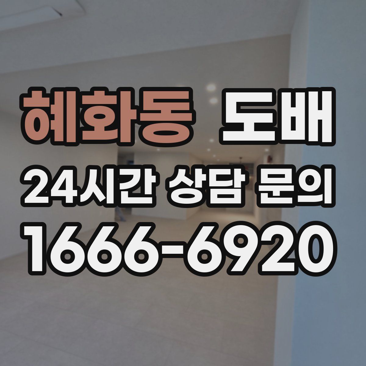 혜화동 도배