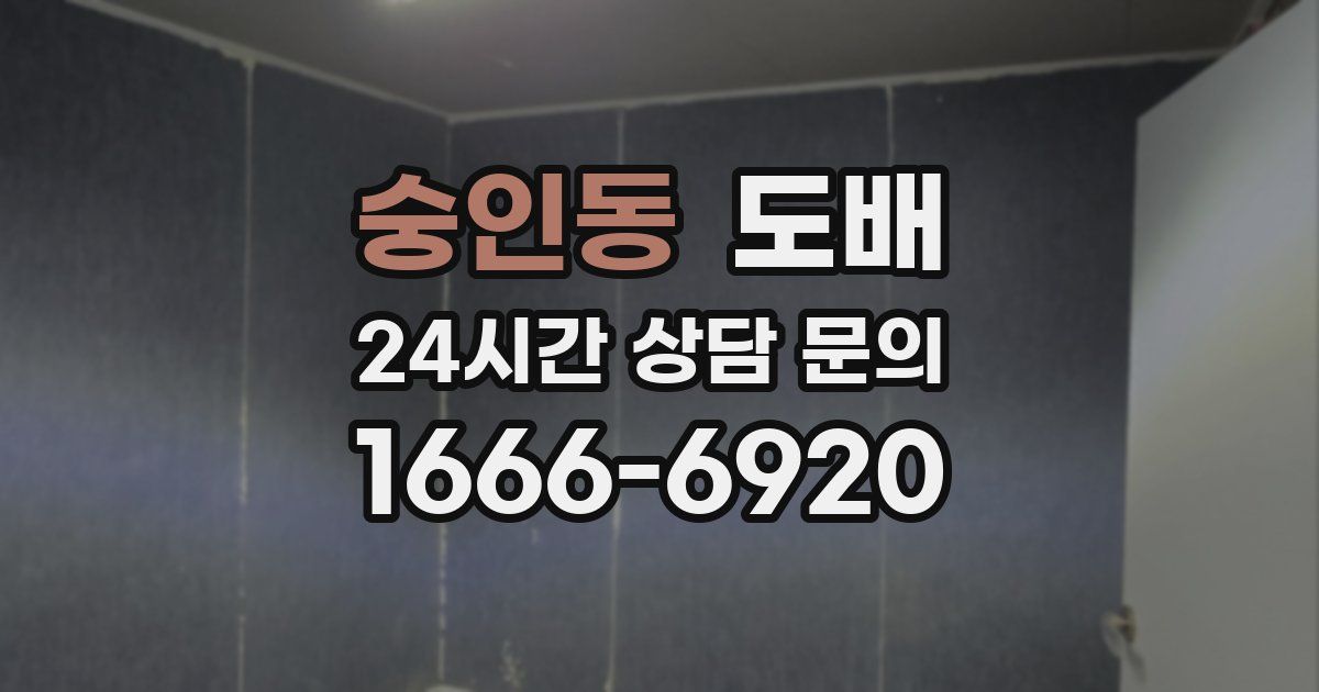 숭인동 도배