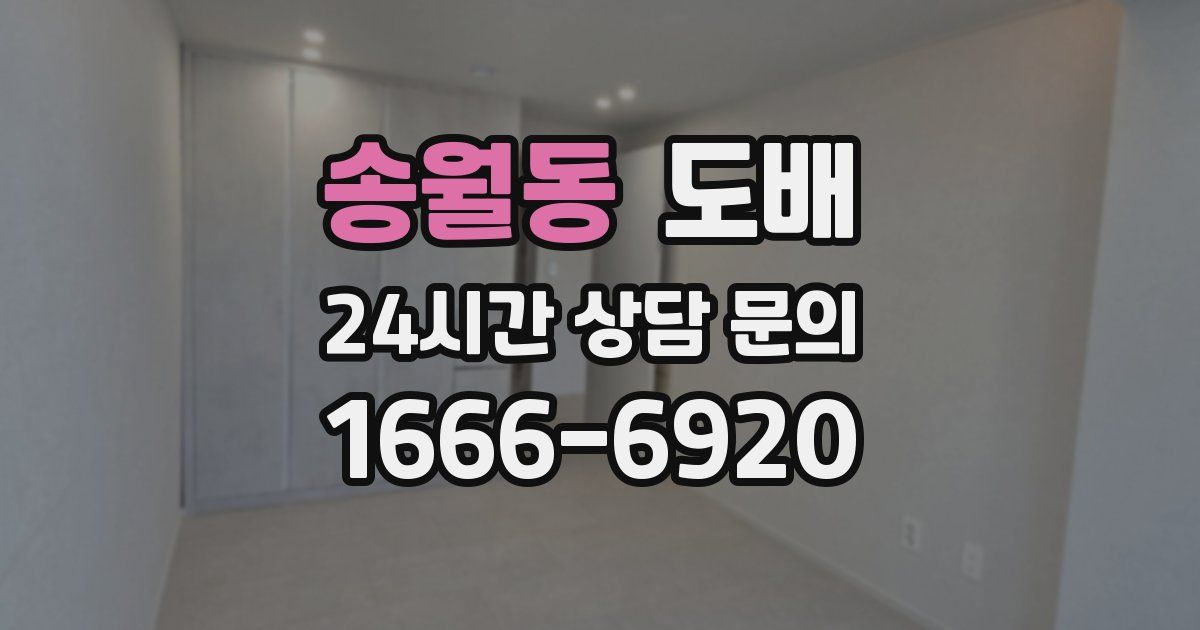 송월동 도배
