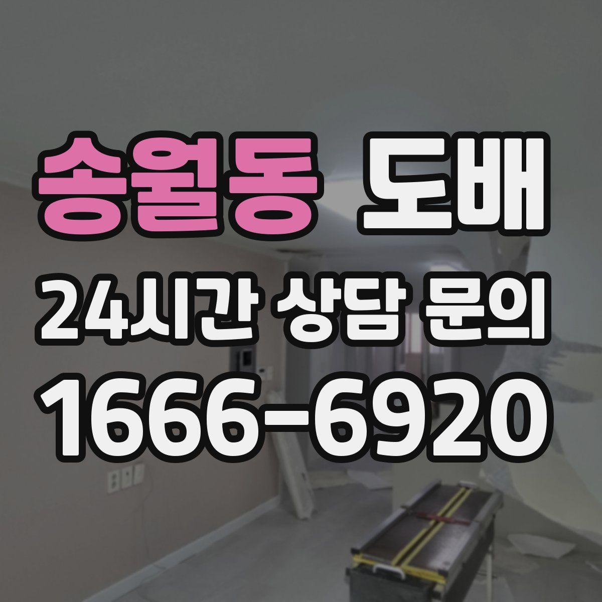 송월동 도배