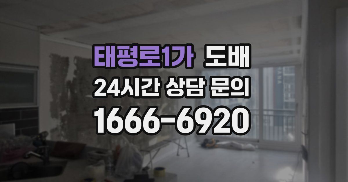 태평로1가 도배