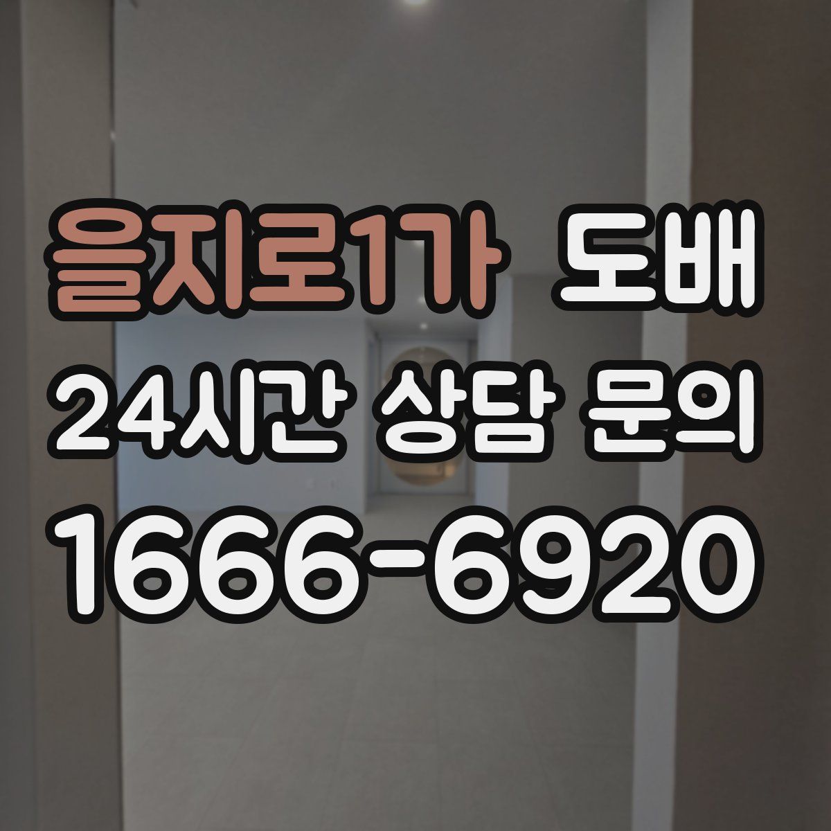 을지로1가 도배