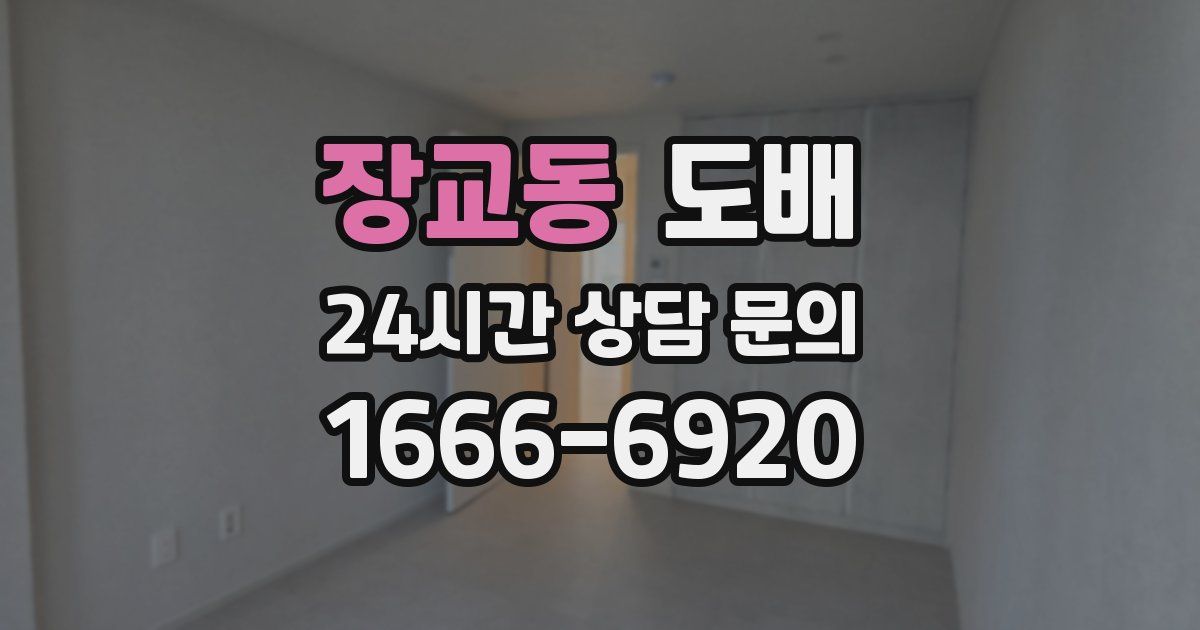 장교동 도배