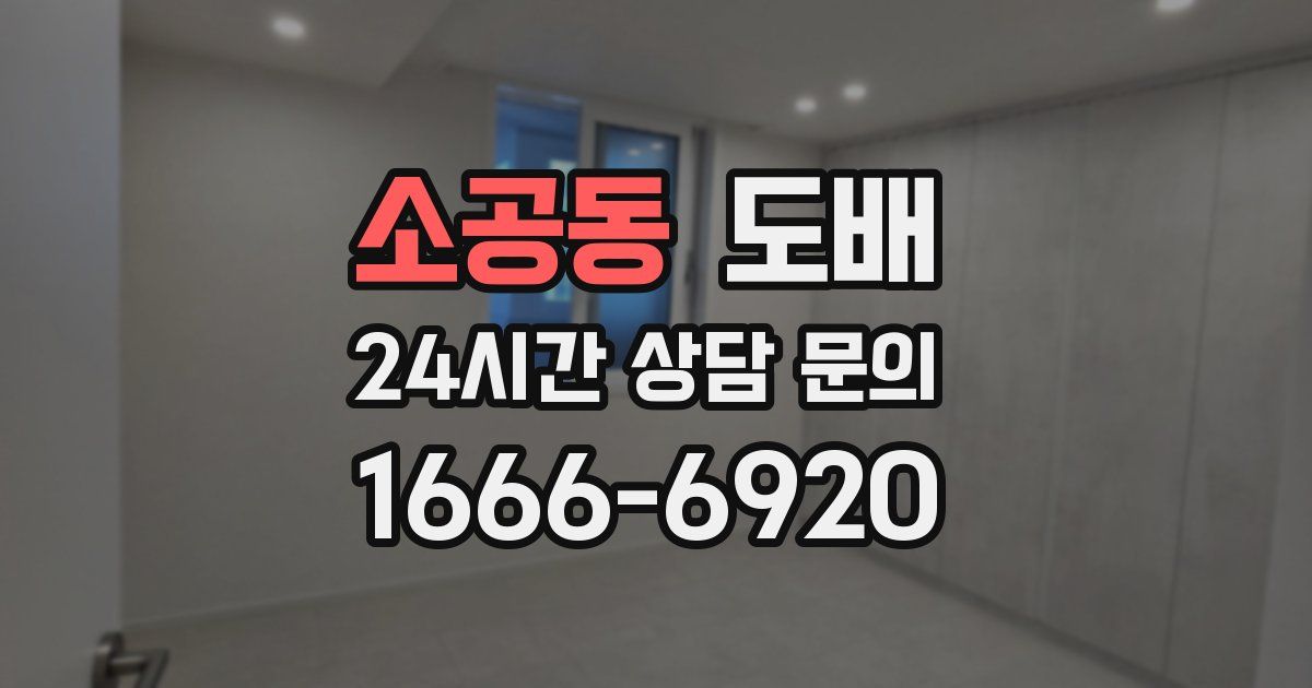 소공동 도배