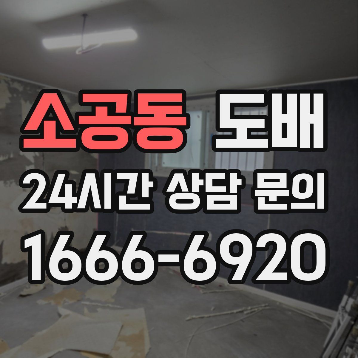 소공동 도배
