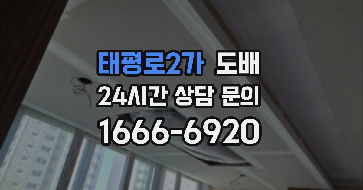 태평로2가 도배