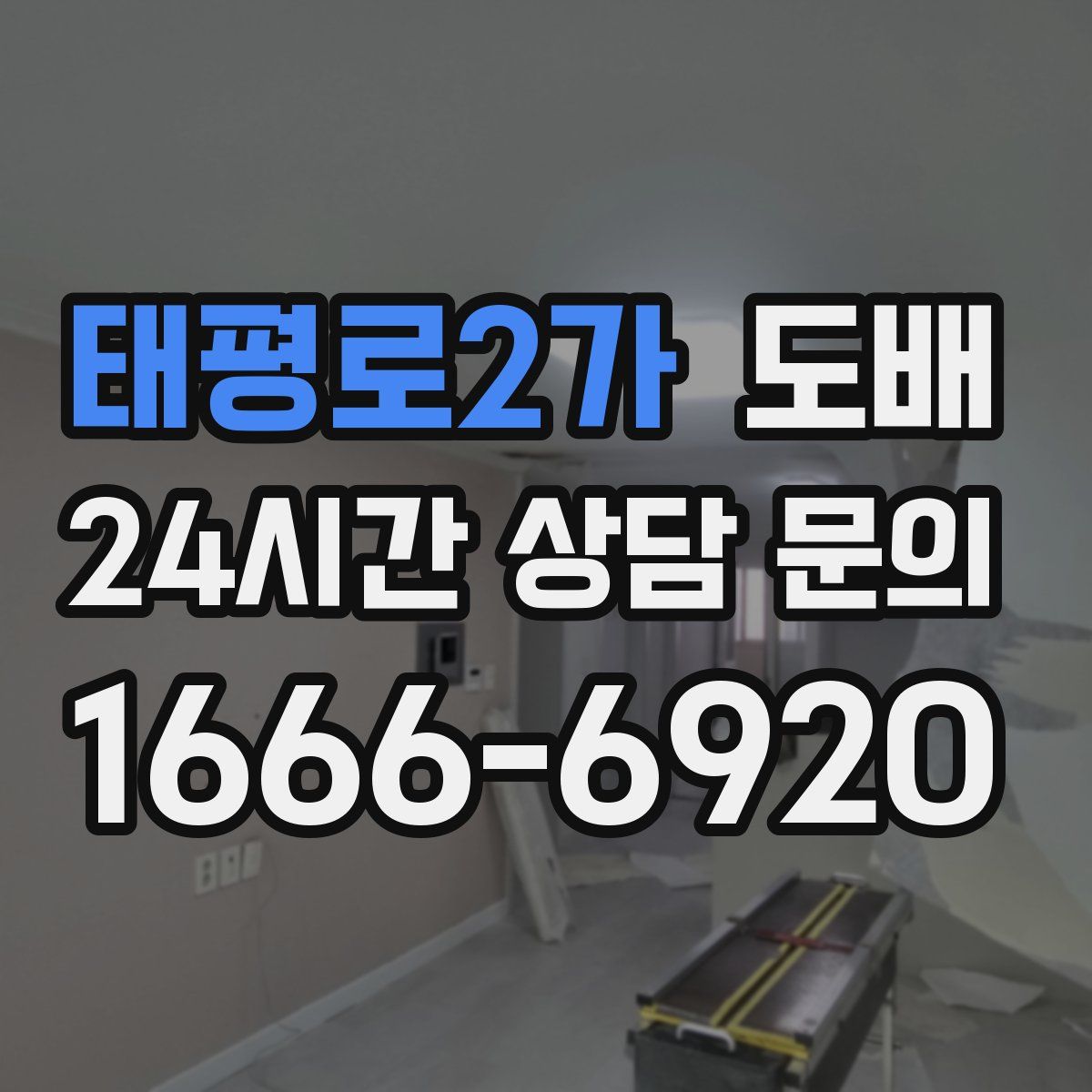 태평로2가 도배