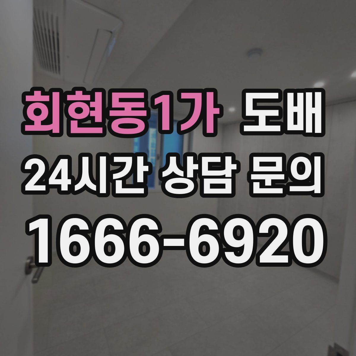 회현동1가 도배