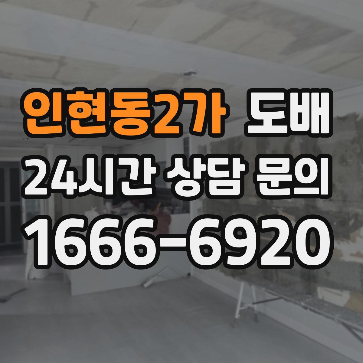 인현동2가 도배