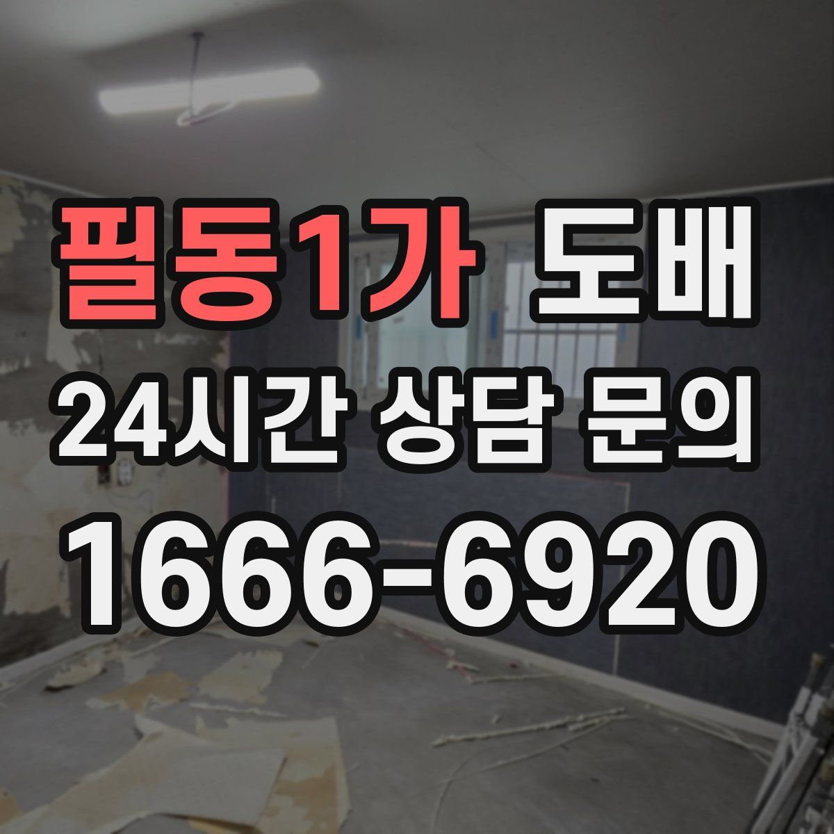 필동1가 도배