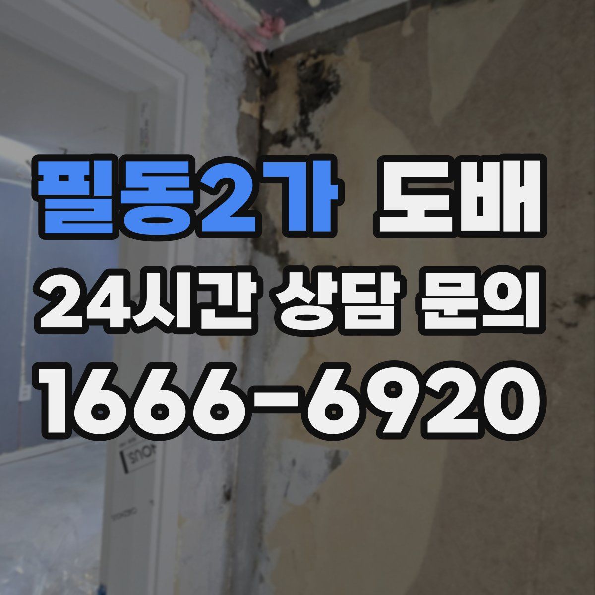 필동2가 도배