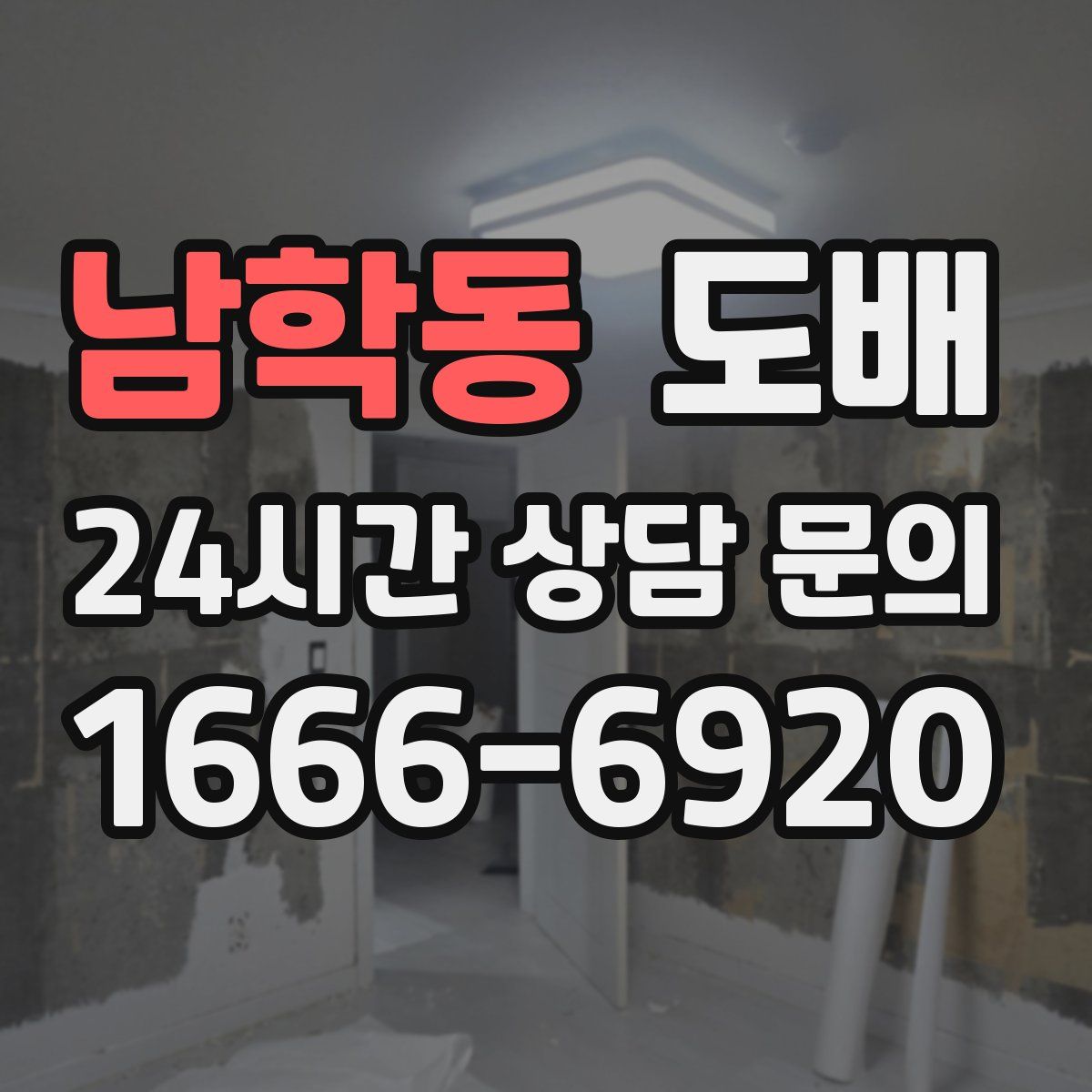 남학동 도배