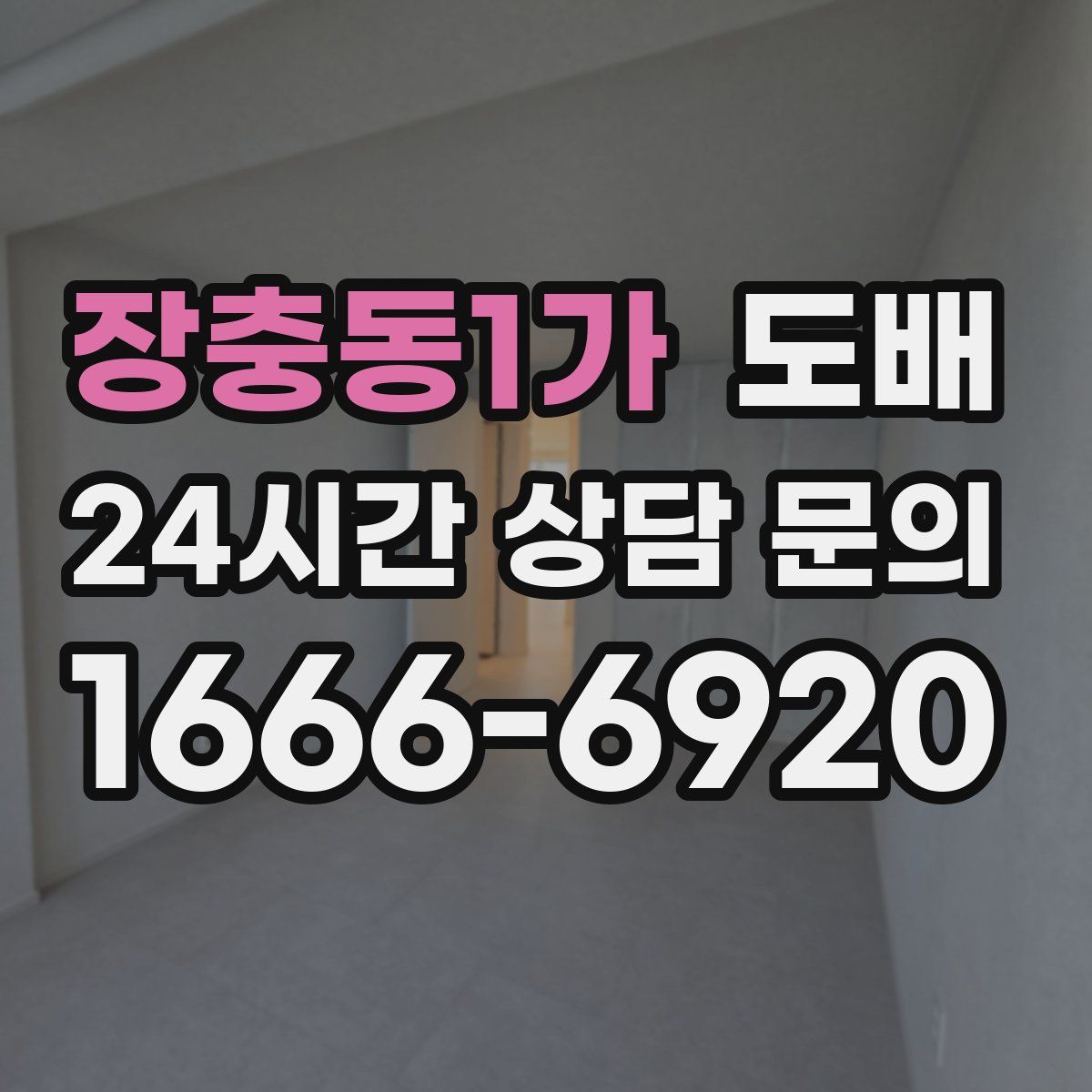 장충동1가 도배