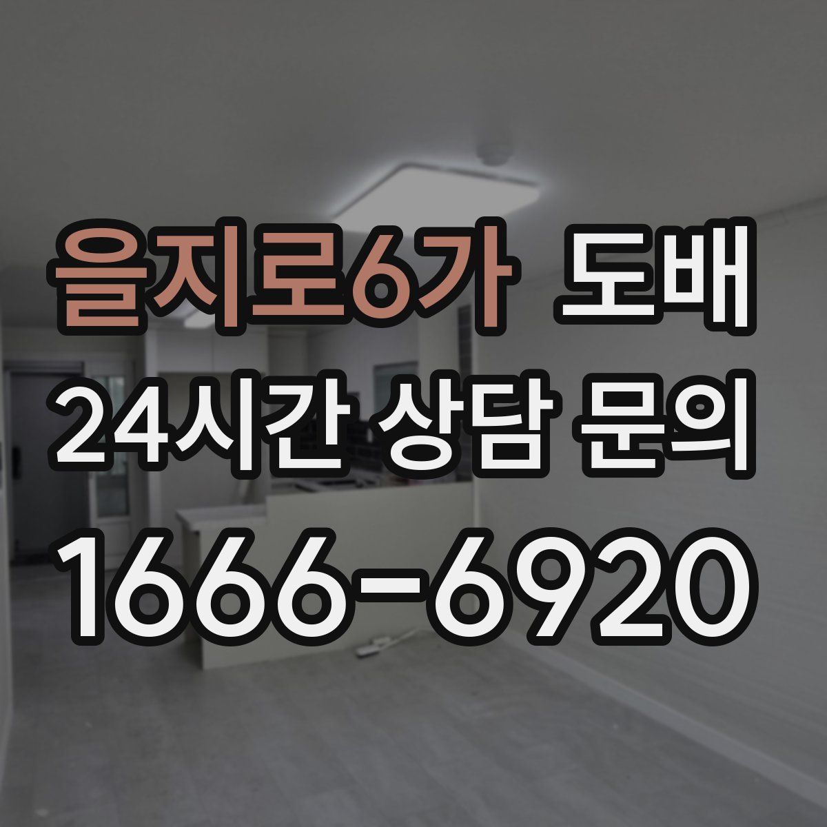 을지로6가 도배