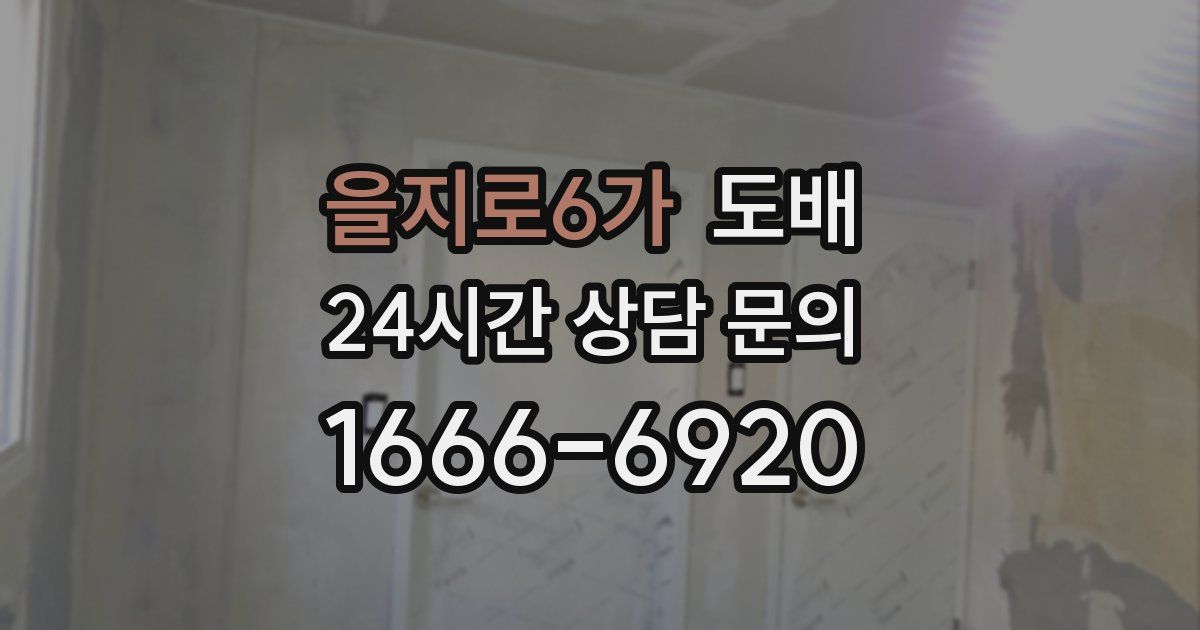 을지로6가 도배