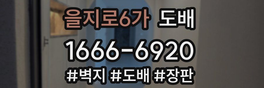을지로6가 도배