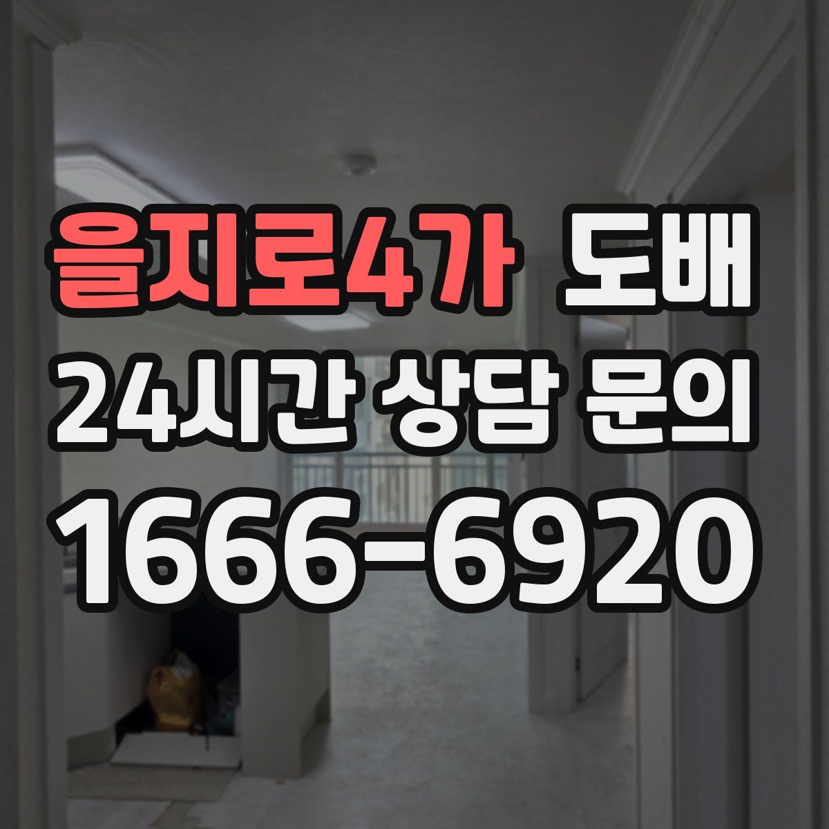 을지로4가 도배
