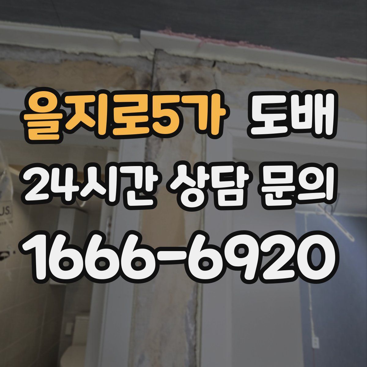 을지로5가 도배