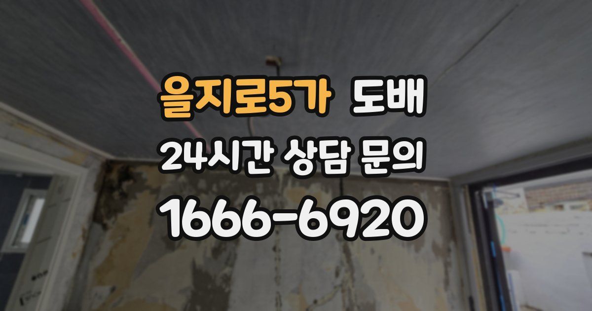 을지로5가 도배