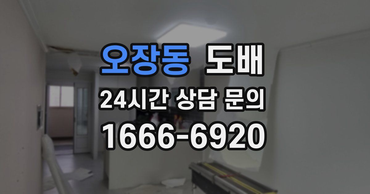오장동 도배