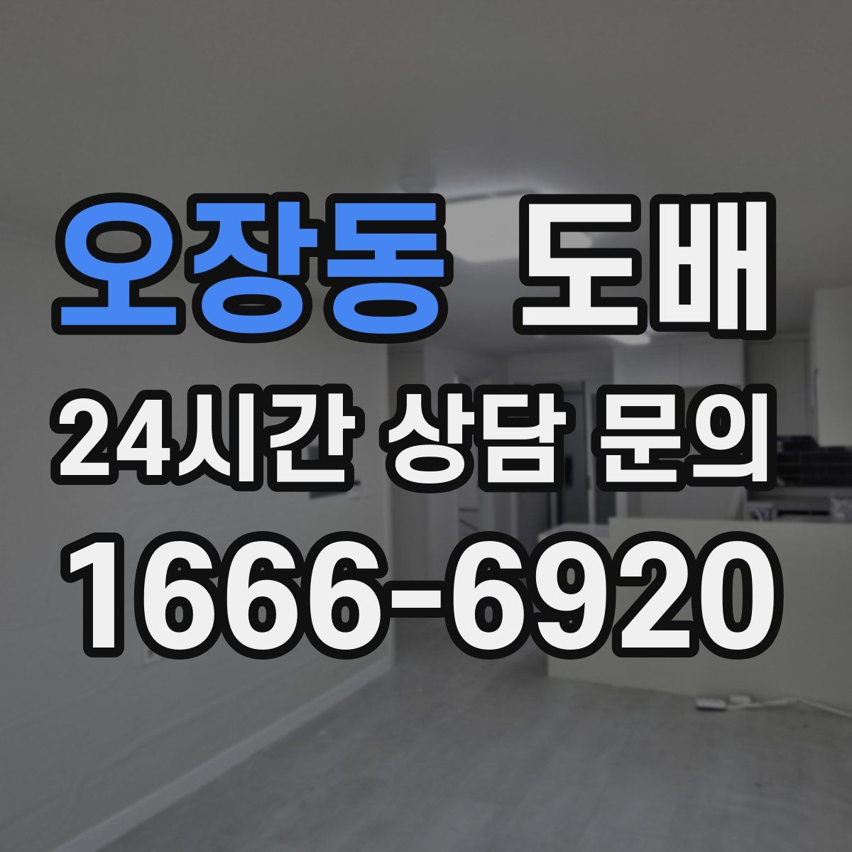 오장동 도배