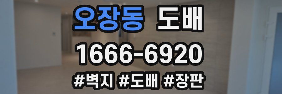 오장동 도배