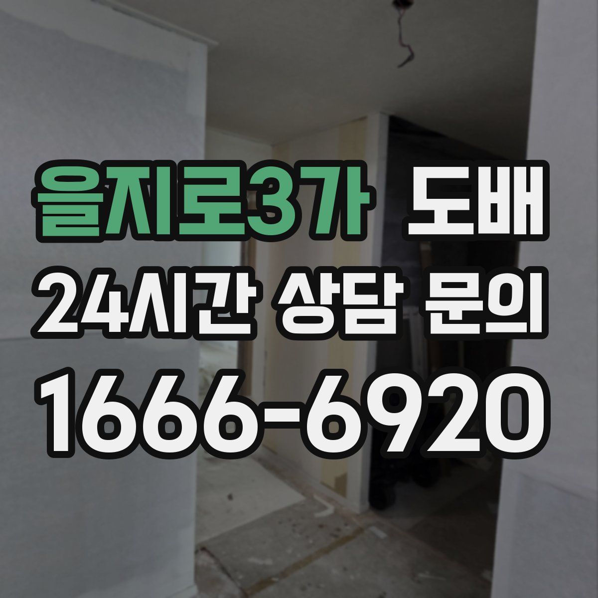 을지로3가 도배