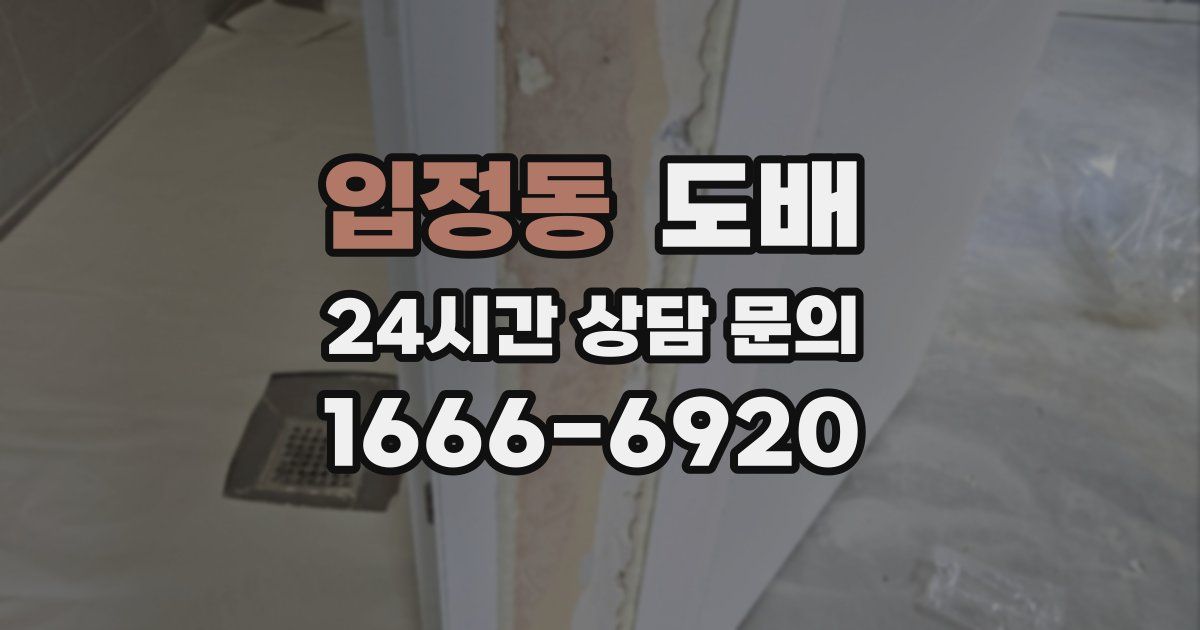 입정동 도배
