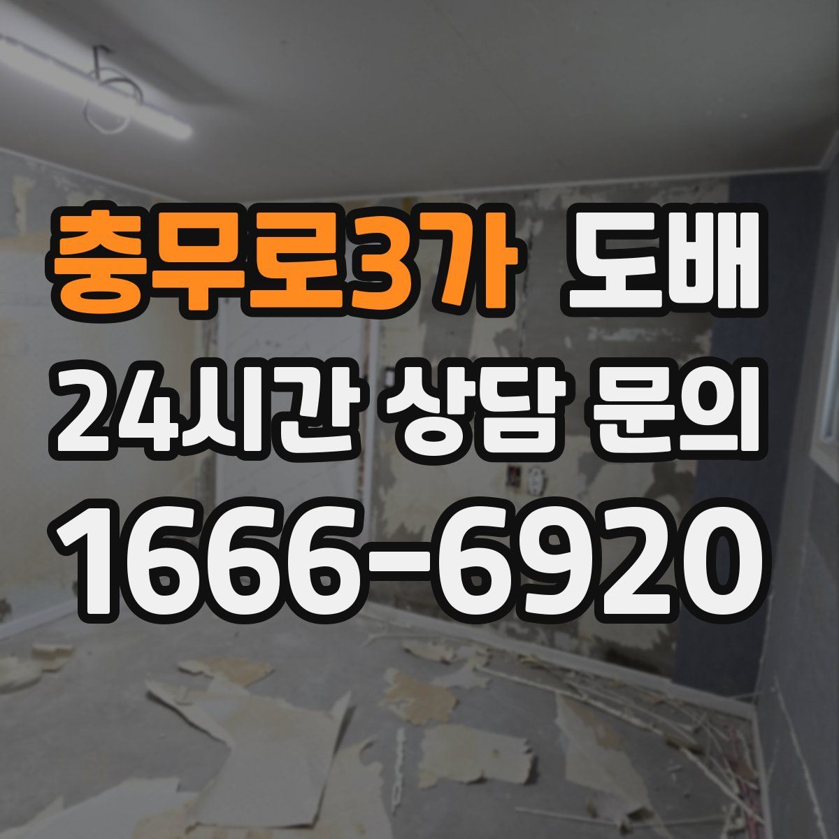 충무로3가 도배