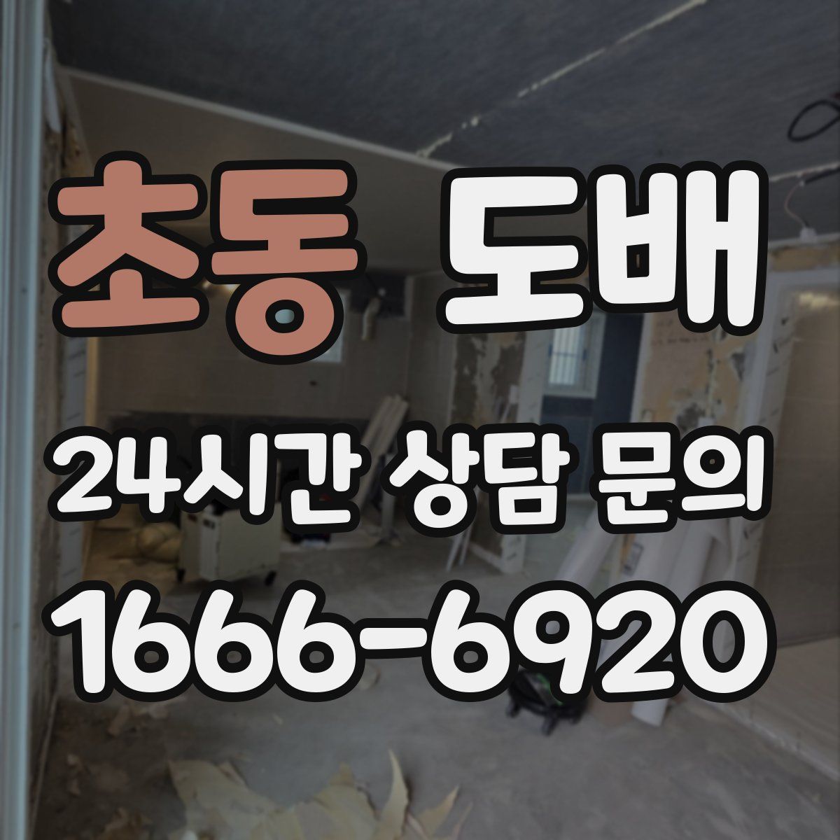 초동 도배