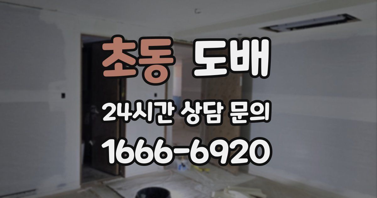 초동 도배