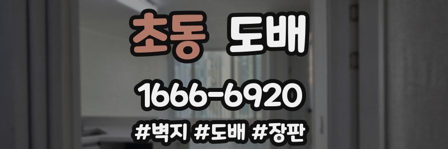 초동 도배