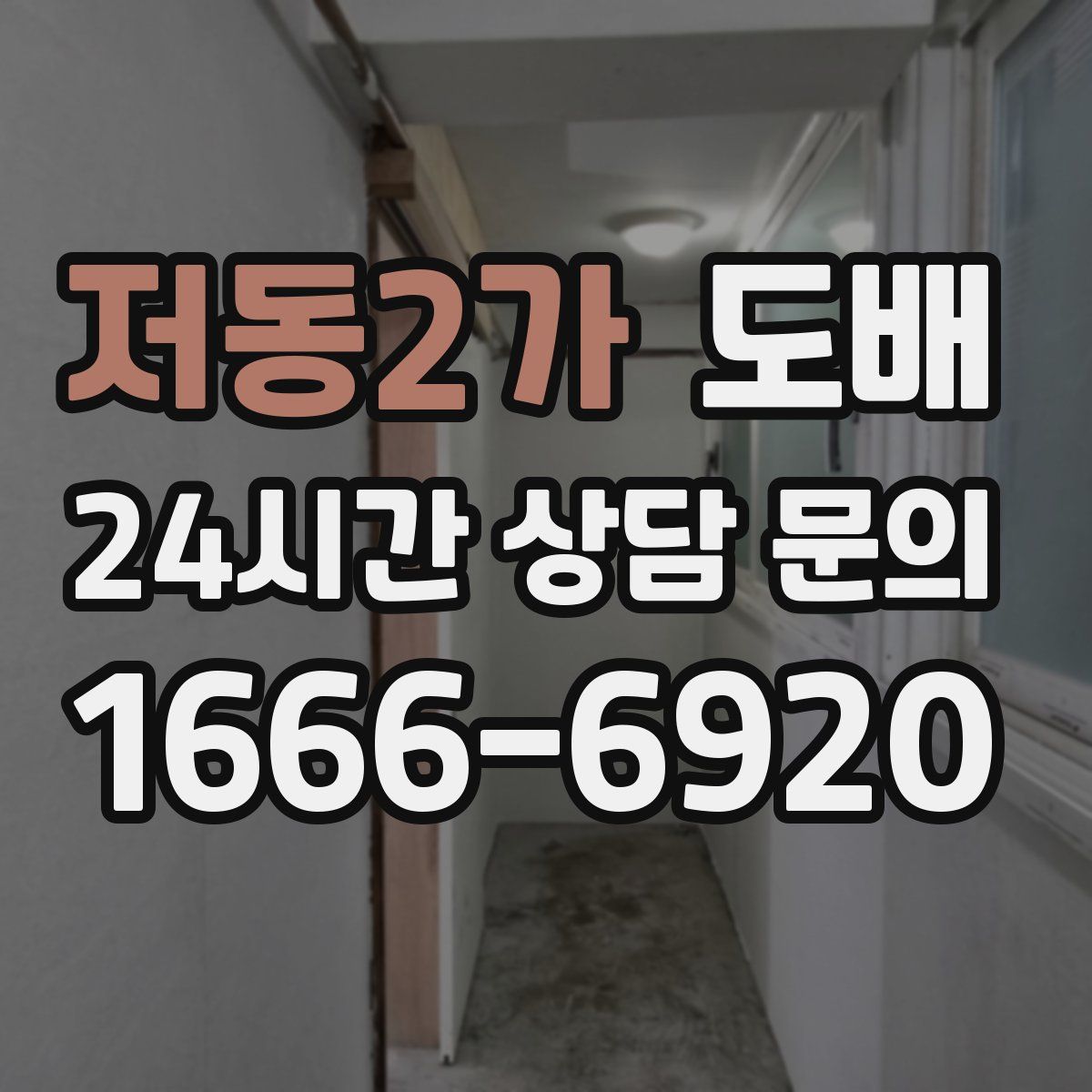 저동2가 도배