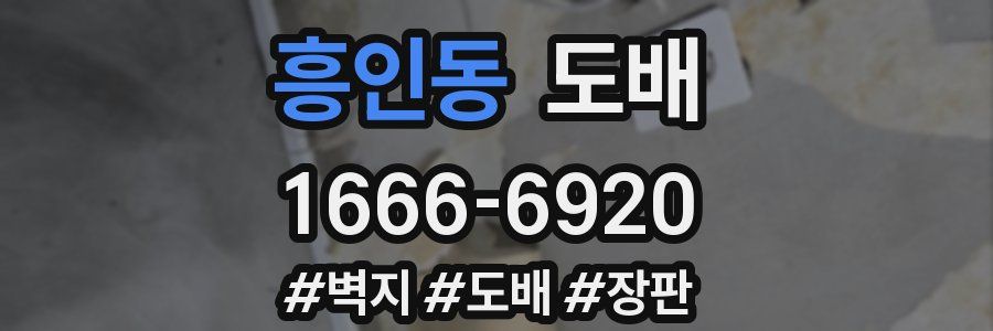 흥인동 도배