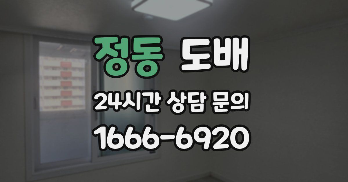 정동 도배