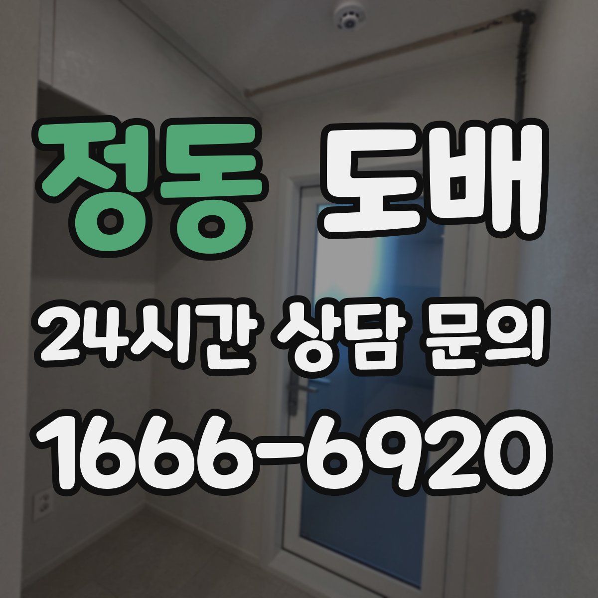 정동 도배