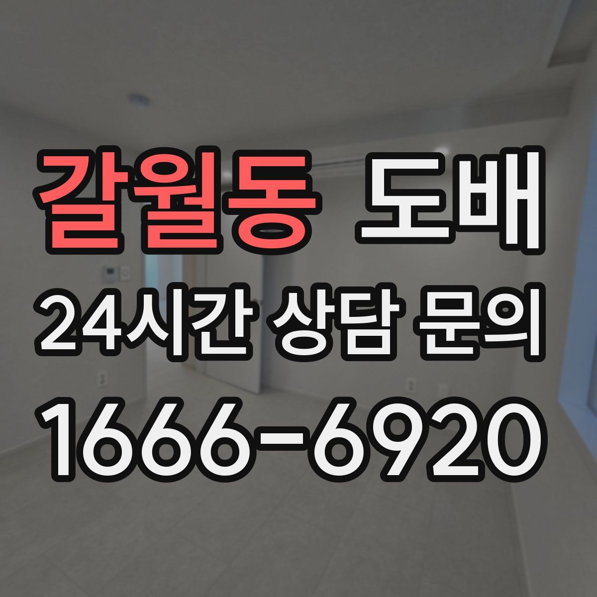 갈월동 도배