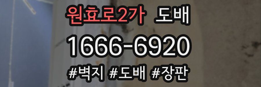 원효로2가 도배