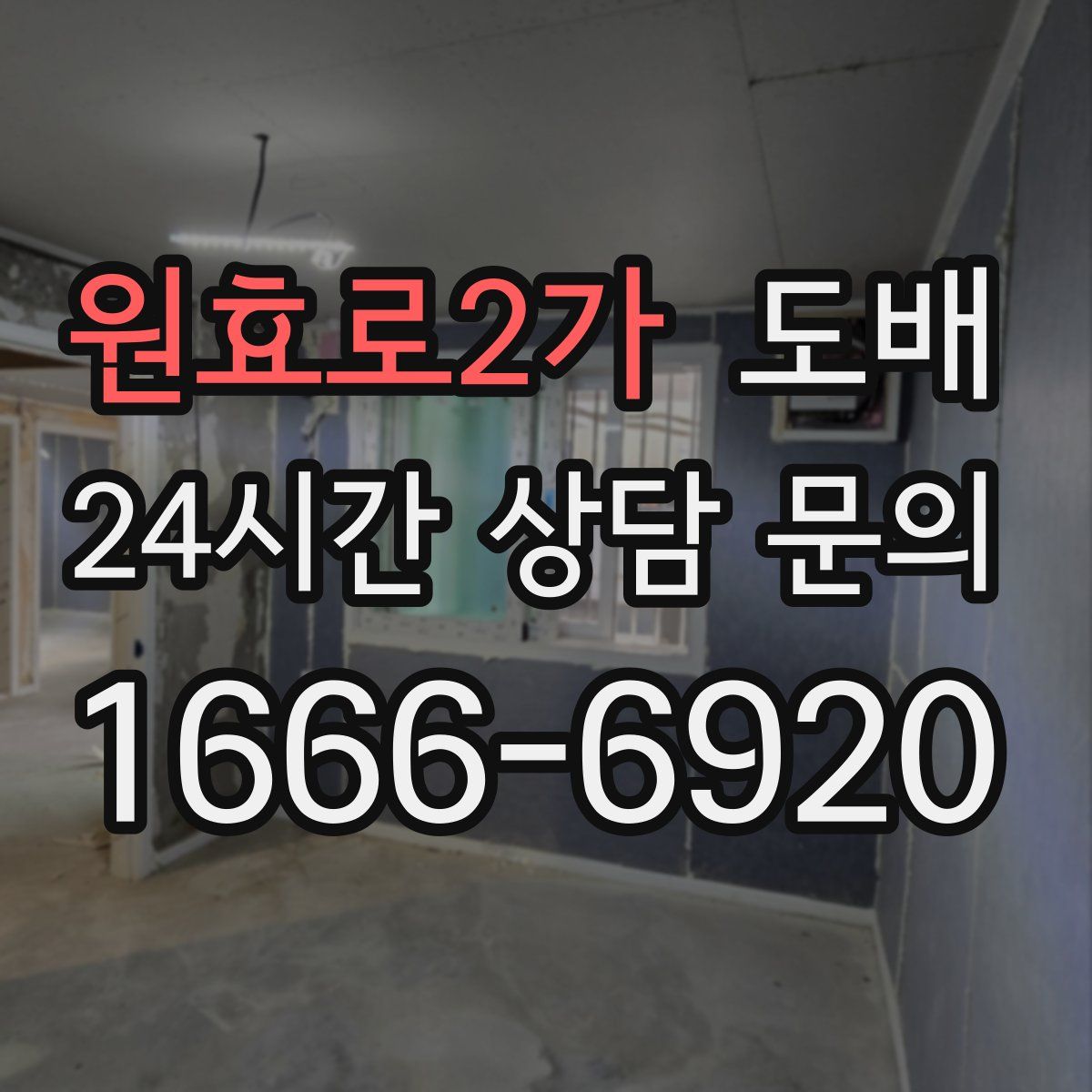 원효로2가 도배