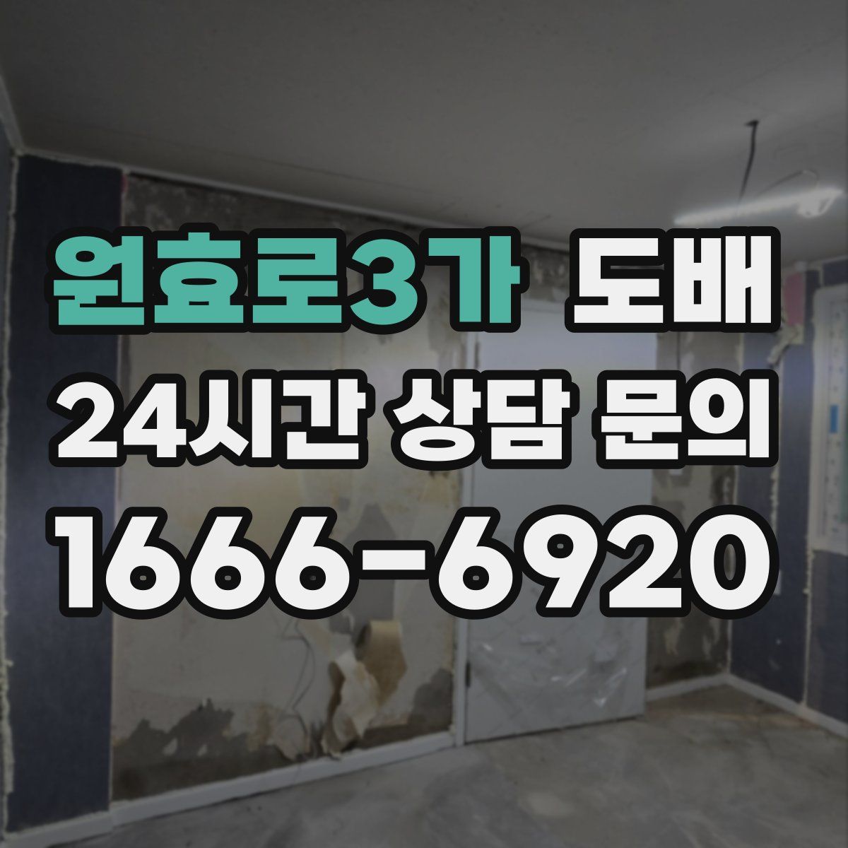 원효로3가 도배