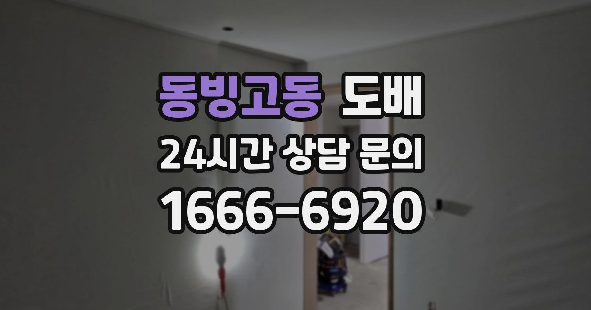 동빙고동 도배